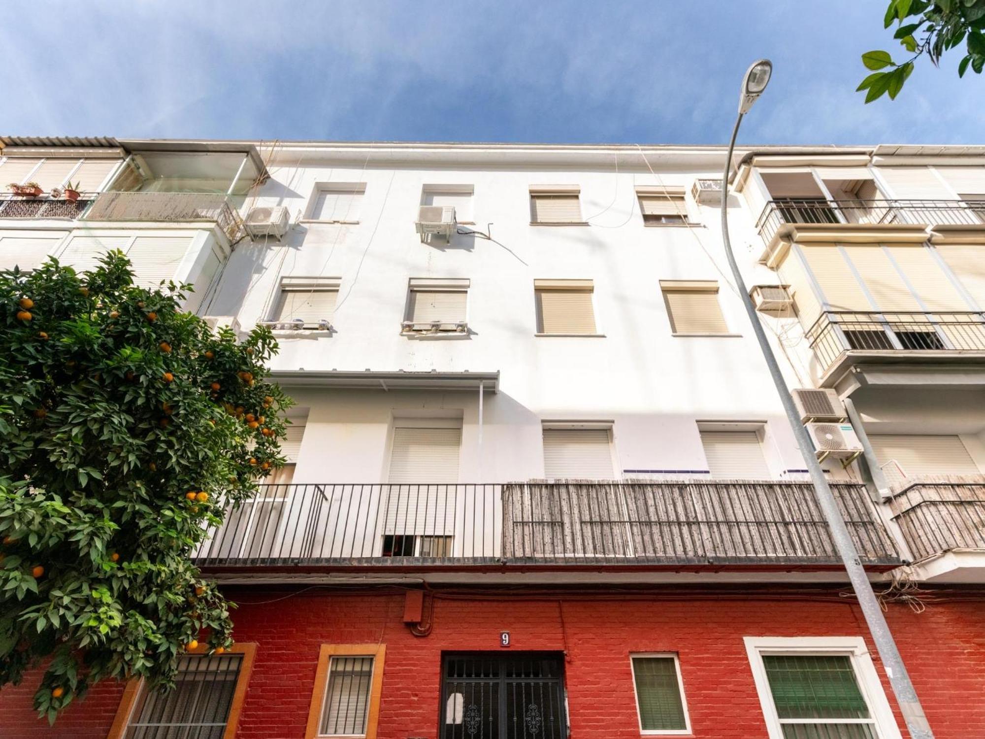 Holi-Rent Padre Isla Διαμέρισμα Σεβίλλη Εξωτερικό φωτογραφία